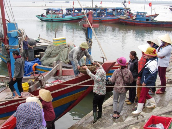 ​Ngư dân cảng cá Cửa Sót trúng mùa cá cơm