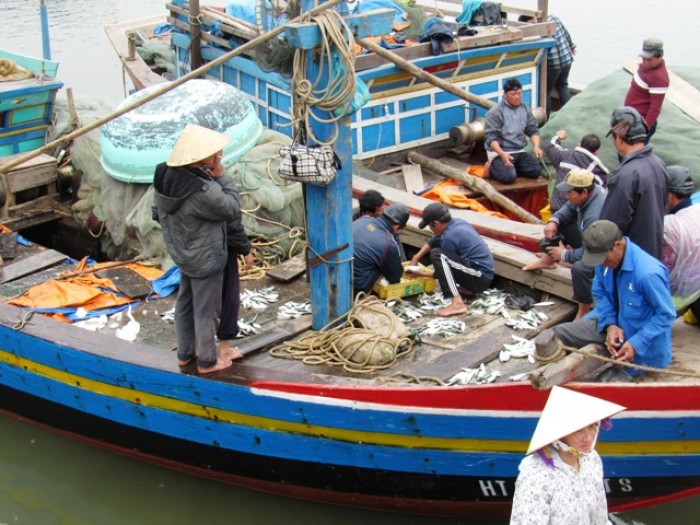 ​Ngư dân cảng cá Cửa Sót trúng mùa cá cơm