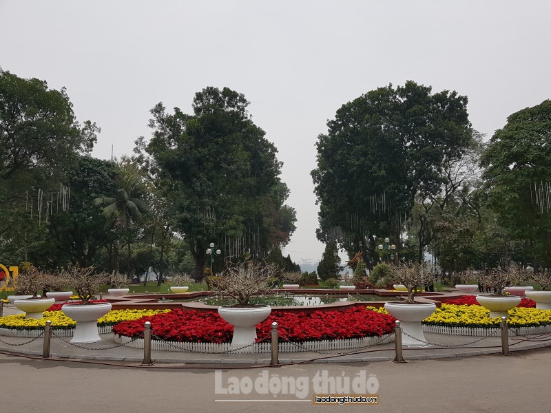 het long phuc vu nhan dan choi tet vui xuan mau tuat