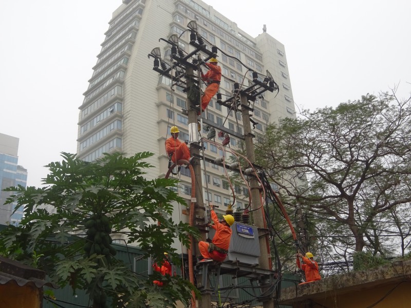 evn ha noi ron rang nhung cong trinh dau xuan 2019