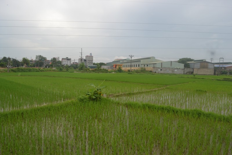 quyet tam giup nguoi dan thoat ngheo mot cach ben vung