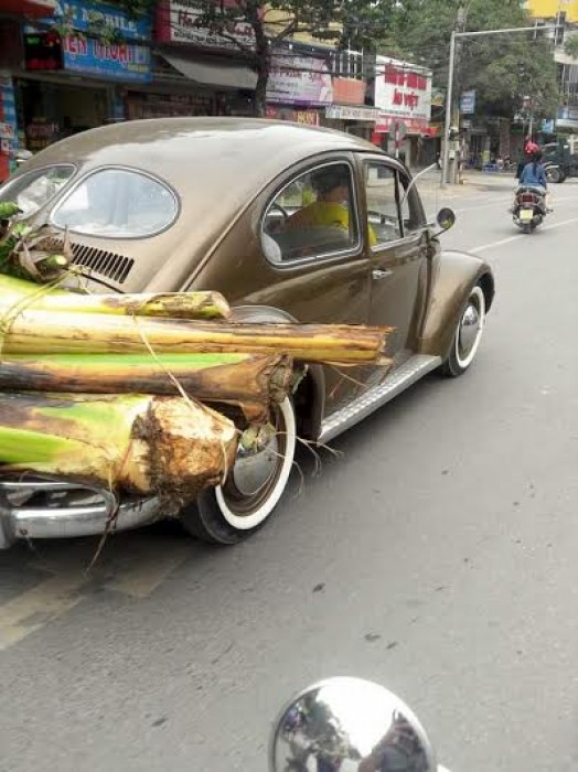 Ôtô biển số 'con gà', 'con vịt' náo loạn Hà Thành