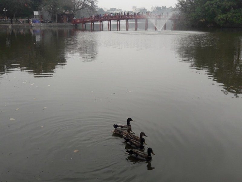 sau thien nga vit troi tung tang boi loi tai ho hoan kiem