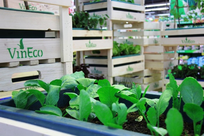 14 sản phẩm rau sạch của VinEco chính thức có mặt trên thị trường