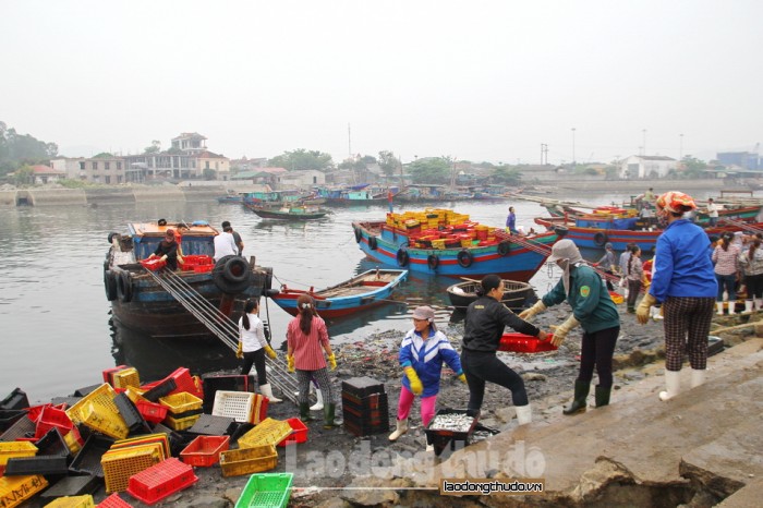 nghe an bien cua lo van dong nghit khach