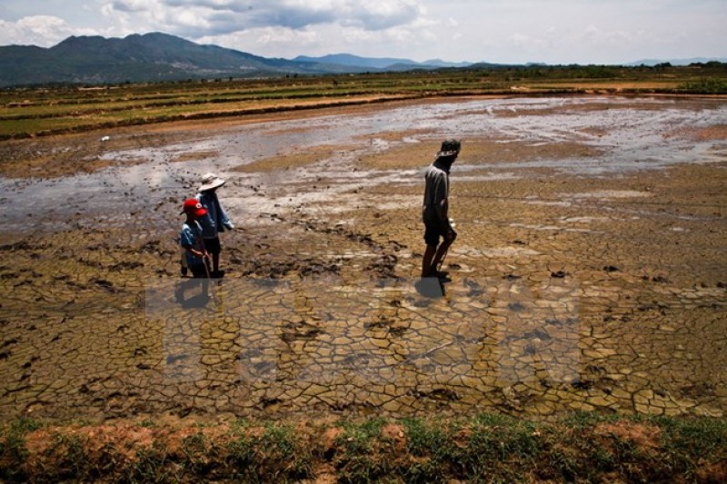 hien tuong el nino co the xuat hien vao nua cuoi nam nay