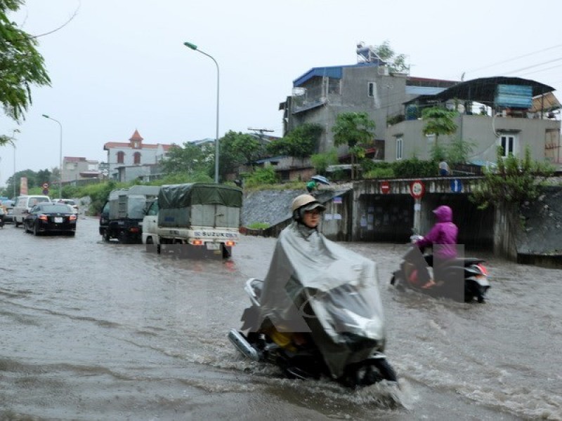 bac bo co mua to dien rong de phong to loc va gio giat manh