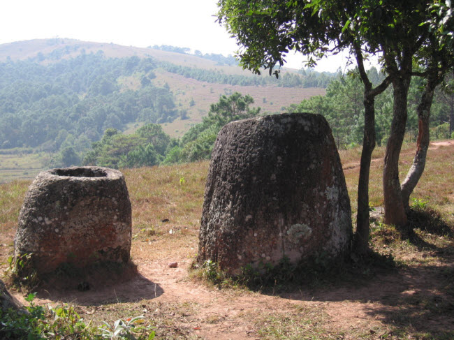 bi an chua loi giai ve canh dong co hang nghin chiec chum da co