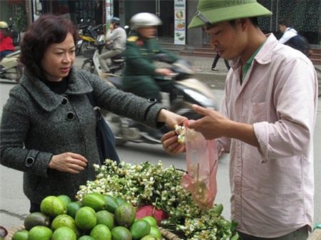 Lạ lùng người Hà Nội chơi hoa bưởi cả cân 5