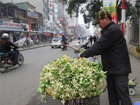 Lạ lùng người Hà Nội chơi hoa bưởi cả cân 1