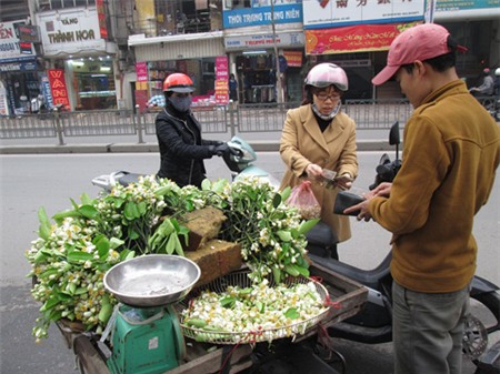 Lạ lùng người Hà Nội chơi hoa bưởi cả cân 2