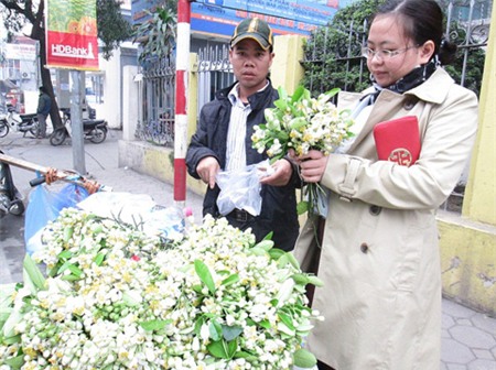 Lạ lùng người Hà Nội chơi hoa bưởi cả cân 3