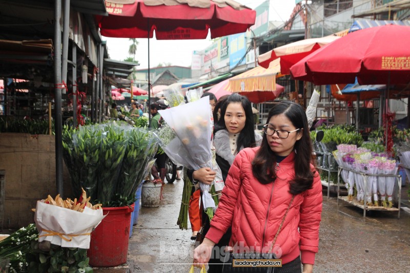 gia hoa hong da lat tang ky luc trong dip 83