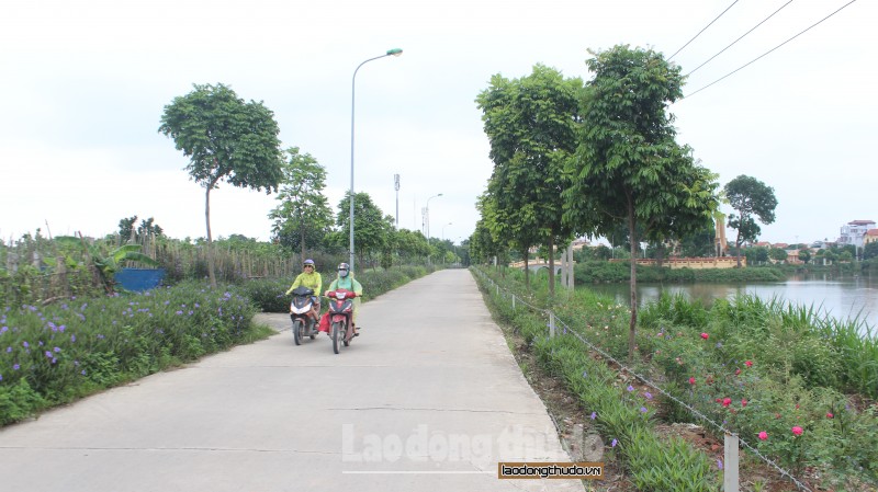 huyen thanh tri ruc ro con duong hoa hong tai xa yen my