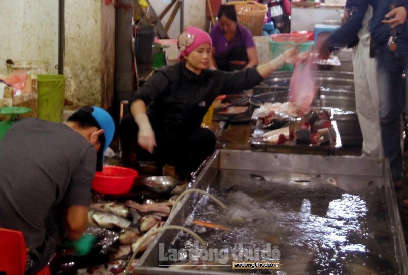tang cuong quan ly viec kinh doanh su dung hoa chat khang sinh trong nuoi trong thuy san