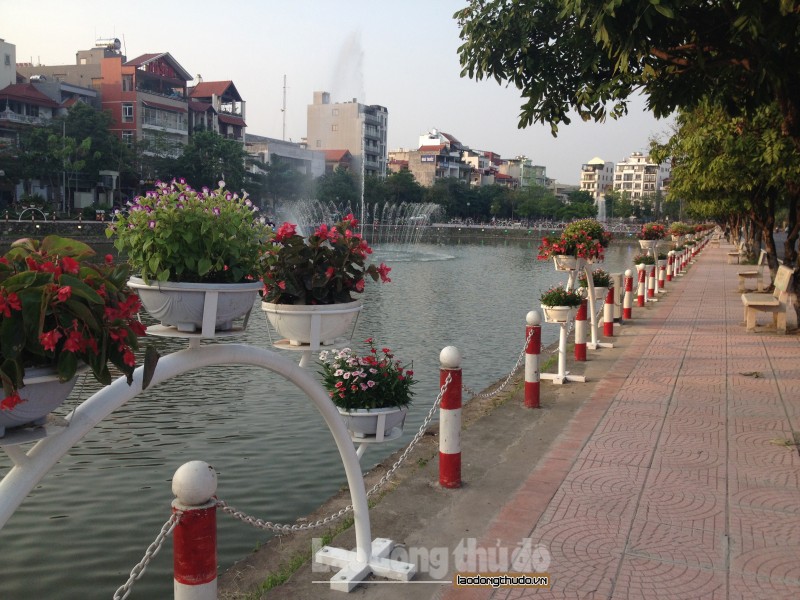 ha noi sap khai truong tuyen pho di bo trinh cong son