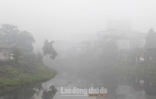 sang nay ha noi chim trong suong mu day dac