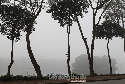 sang nay ha noi chim trong suong mu day dac