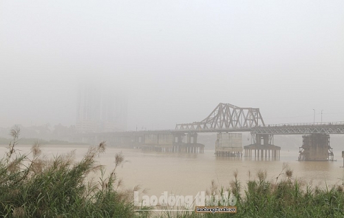 sang nay ha noi chim trong suong mu day dac