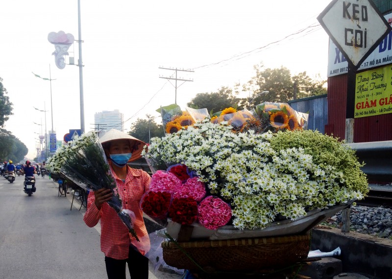 mua dong ve tren nhung canh hoa cuc hoa mi