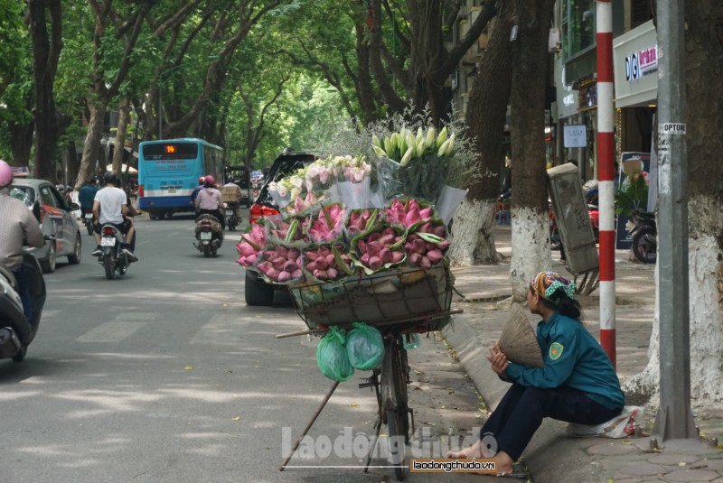 nguoi lao dong bao ho ky cang doi gio lam viec de tranh nang nong