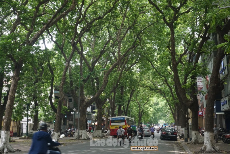 nhung tuyen pho ai cung muon ghe qua trong nhung ngay ha noi nang dinh diem