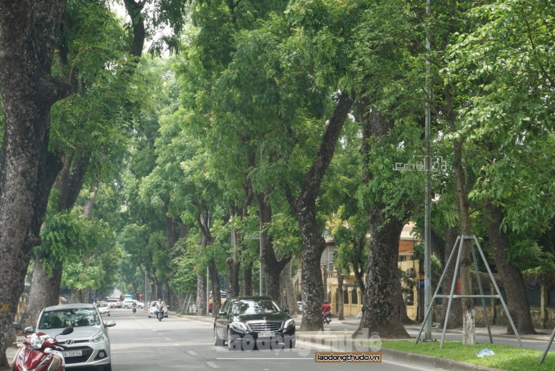 nhung tuyen pho ai cung muon ghe qua trong nhung ngay ha noi nang dinh diem