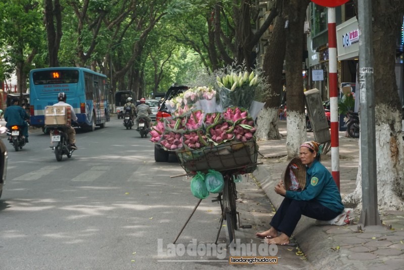 nhung tuyen pho ai cung muon ghe qua trong nhung ngay ha noi nang dinh diem