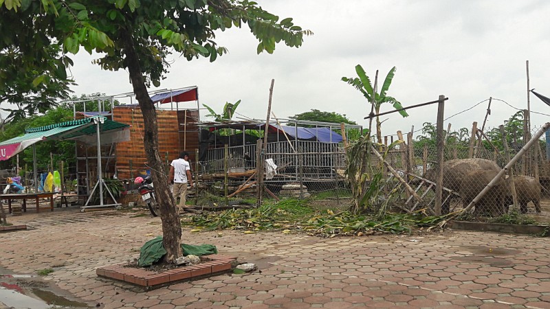 pho cuong kien nhech nhac vi rac thai do bua bai