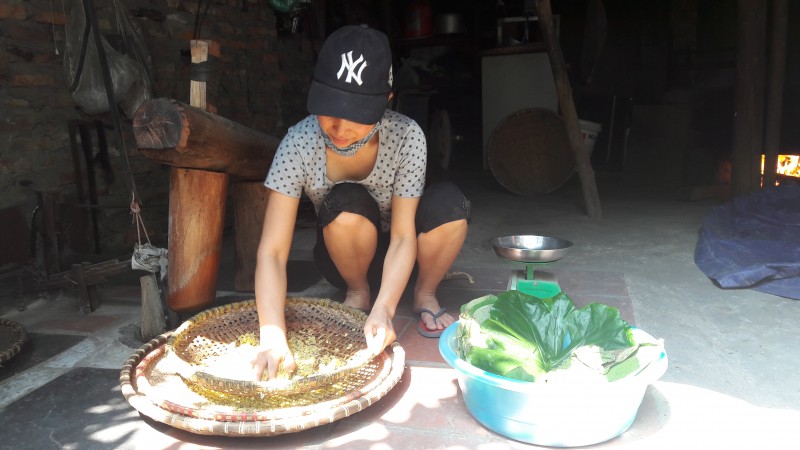 luu giu huong sac thu ha noi qua huong vi com me tri