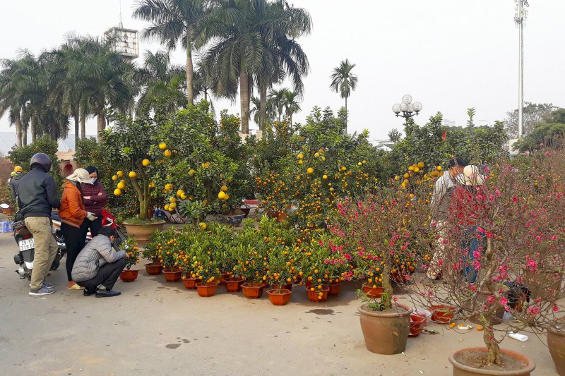 nguoi ha noi nhon nhip sam sua do tet