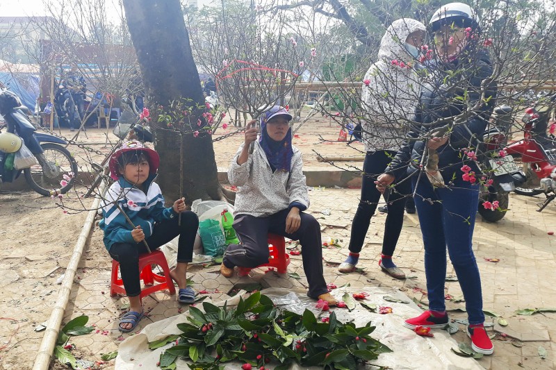 dao quanh cho hoa nam dinh ngay giap tet