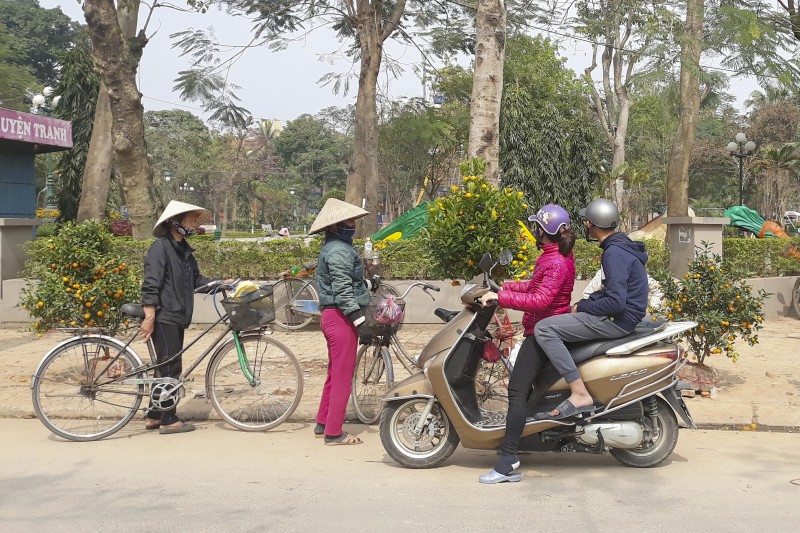 dao quanh cho hoa nam dinh ngay giap tet