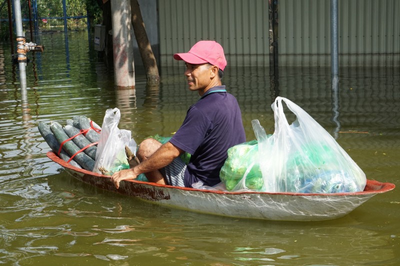 tinh nguoi noi ron lu