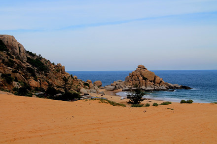 bai trang diem du xuan bien ly tuong o ninh thuan