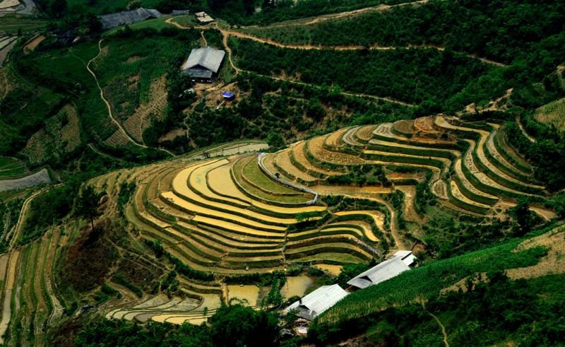 mu cang chai mua nuoc do dep tua buc tranh thuy mac