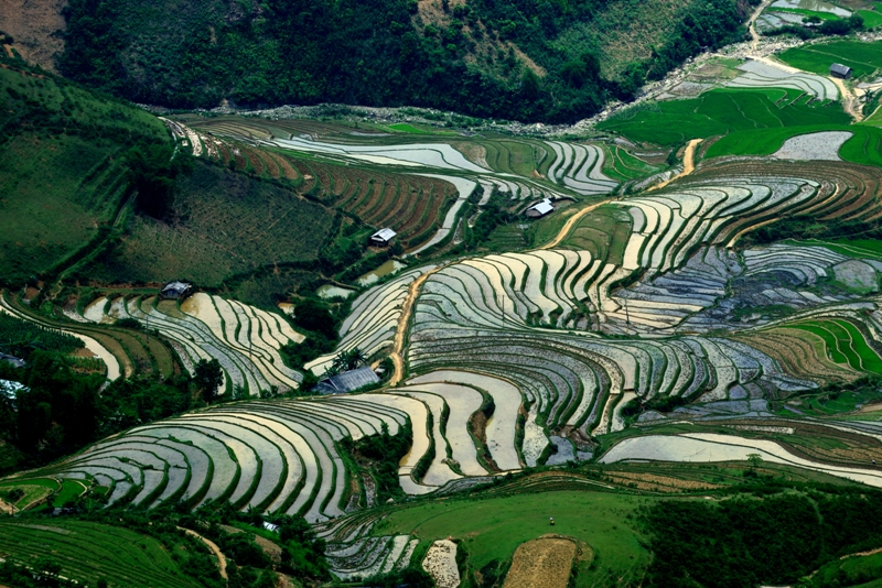 mu cang chai mua nuoc do dep tua buc tranh thuy mac