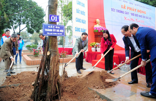 ha noi phat dong tet trong cay