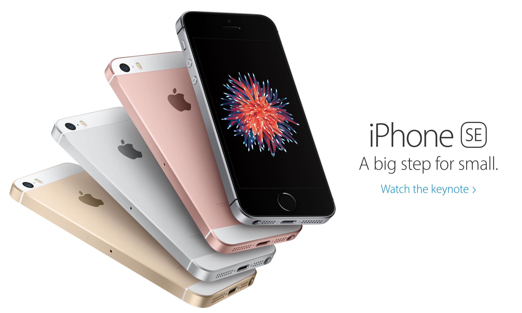 iPhone SE với 4 màu sắc