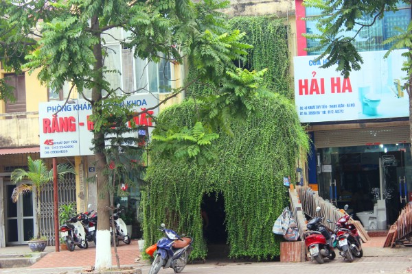 5 ngoi nha ky di doc dao bac nhat ha noi