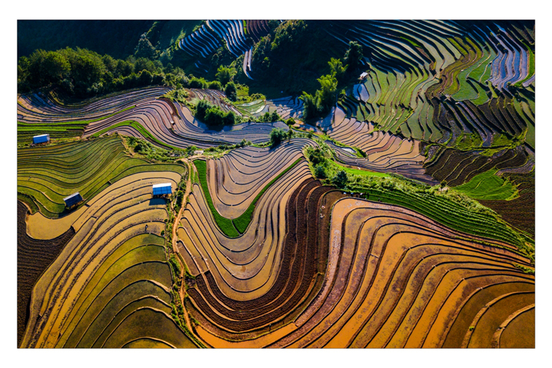 ruong bac thang mu cang chai mua nuoc do qua goc may cua nghe sy tre