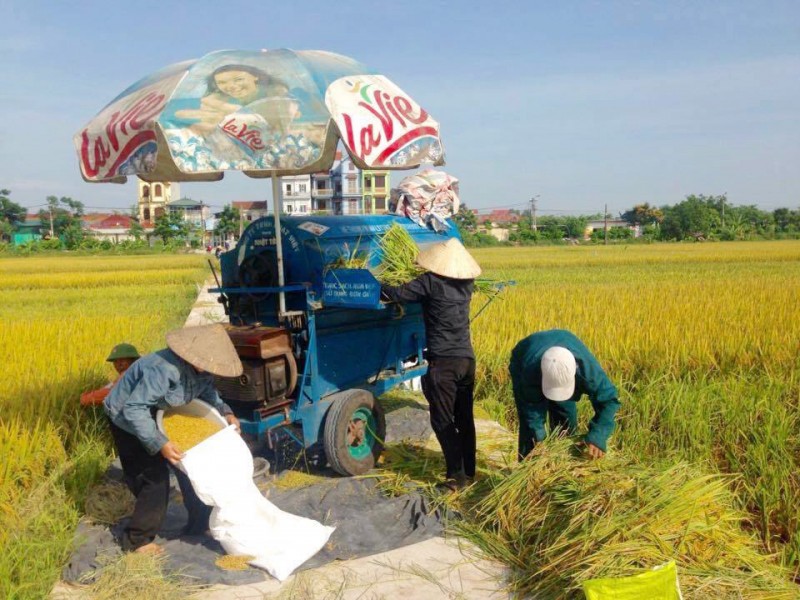 Bài toán phát triển nông sản Việt  Kỳ cuối: Người dân và công nghệ phải là trung tâm