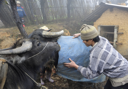 ret dam ret hai se xuat hien dau nam 2018 moi dot dai 7 10 ngay