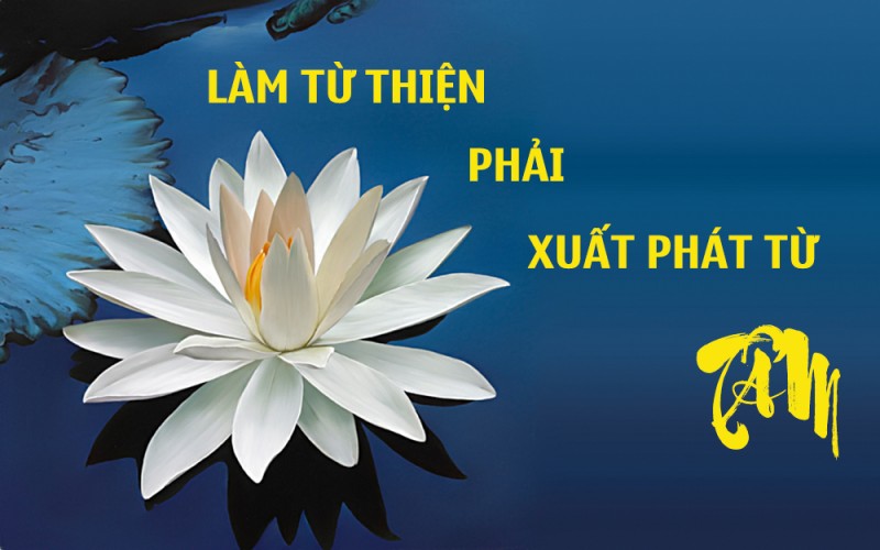 phai tu tam