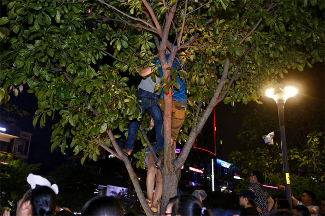 hang tram fan leo treo chen chuc tai pho di bo xem my tam bieu dien