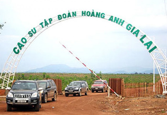 Hàng loạt ngân hàng “ngậm đắng” với trái phiếu Hoàng Anh Gia Lai?