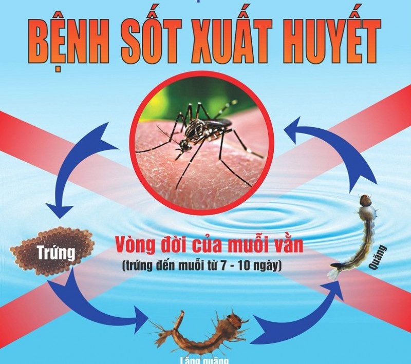 sot xuat huyet 12 truong hop tu vong