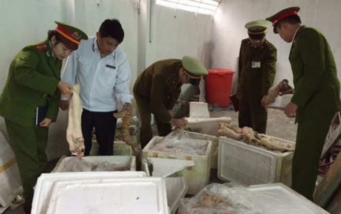 Tiêu hủy hơn 1 tấn nội tạng động vật bắt giữ tại bến xe Vinh