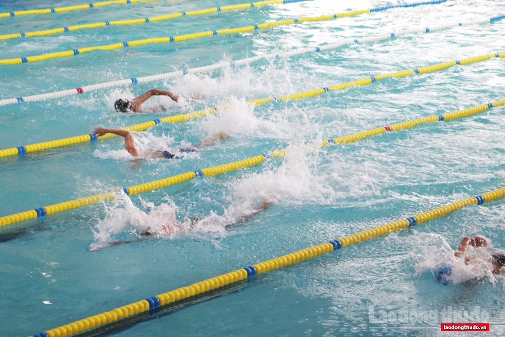 Gần 500 học sinh tham gia Giải bơi học sinh phổ thông thành phố Hà Nội năm học 2021-2022