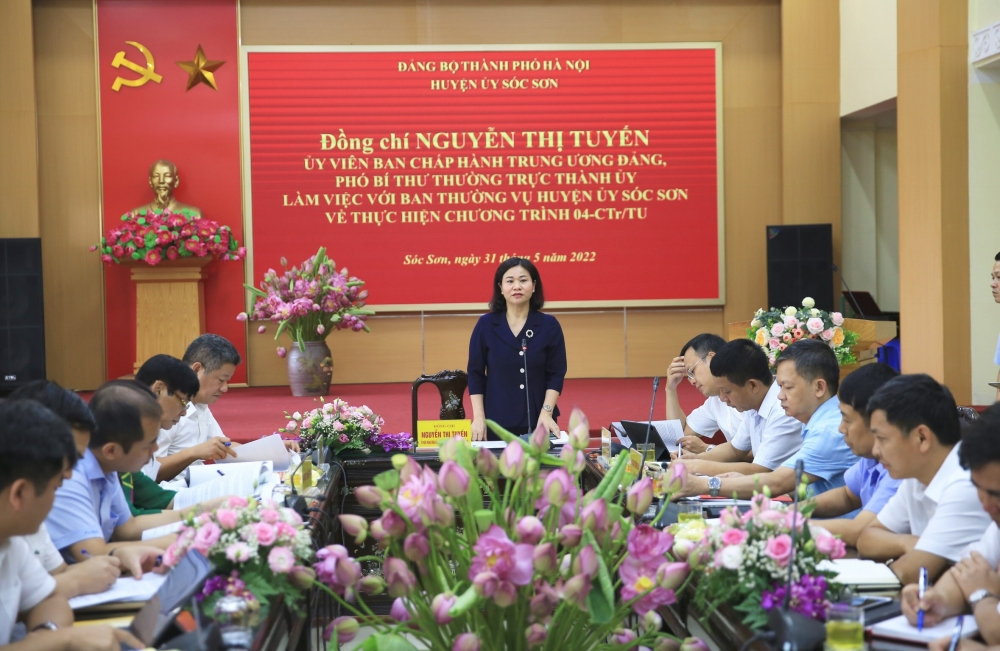 Nhiều kết quả tích cực trong xây dựng nông thôn mới của huyện Sóc Sơn